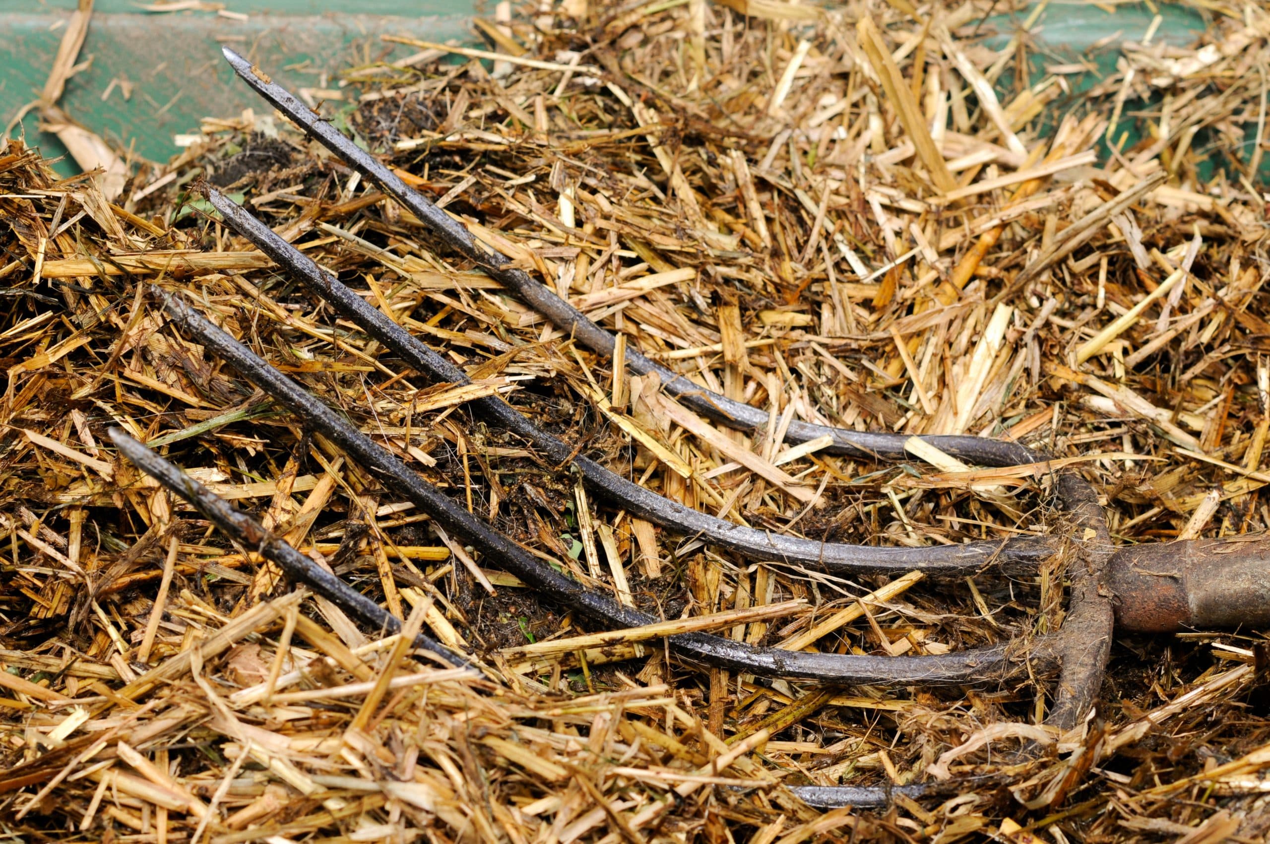 AdobeStock_43853977-scaled