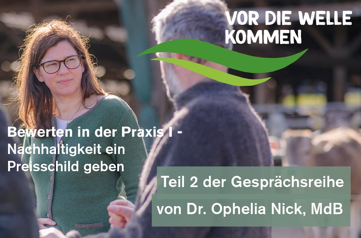 Vor-die-welle-kommen-titel-2
